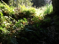 otta monte Cicirello-22042012 059